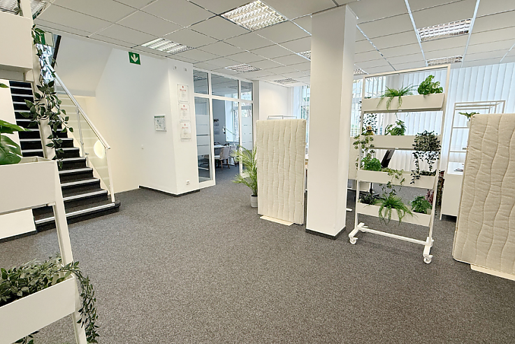 Dieckmann-Immobilien-Neubau-Schwerte-Ergste-Hausbau