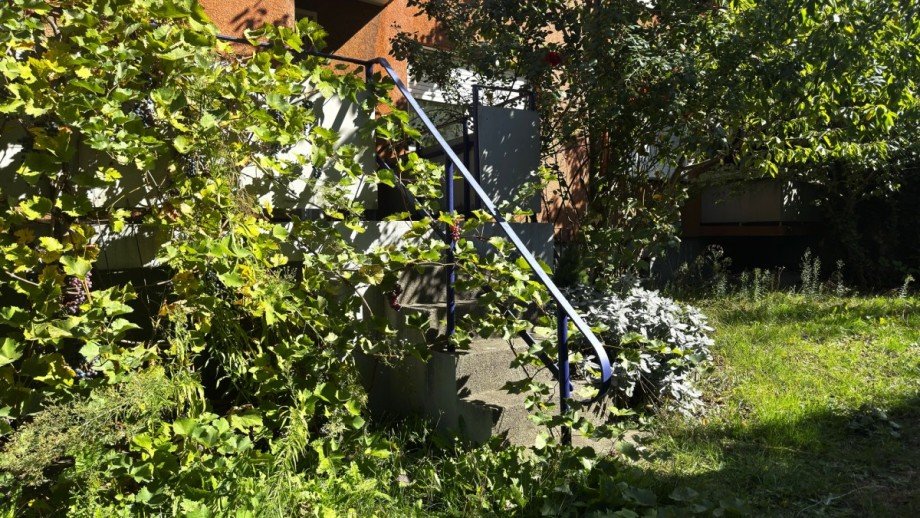 Garten Erdgeschosswohnung Duisburg
