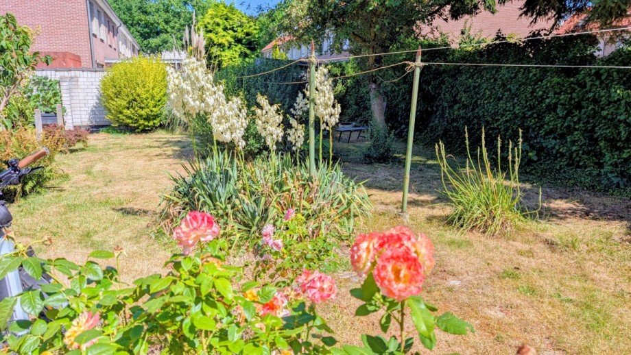 Garten Reihenendhaus Duisburg