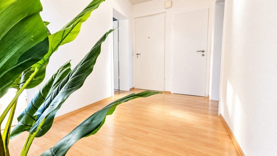 Flur Etagenwohnung Krefeld / H�ls
