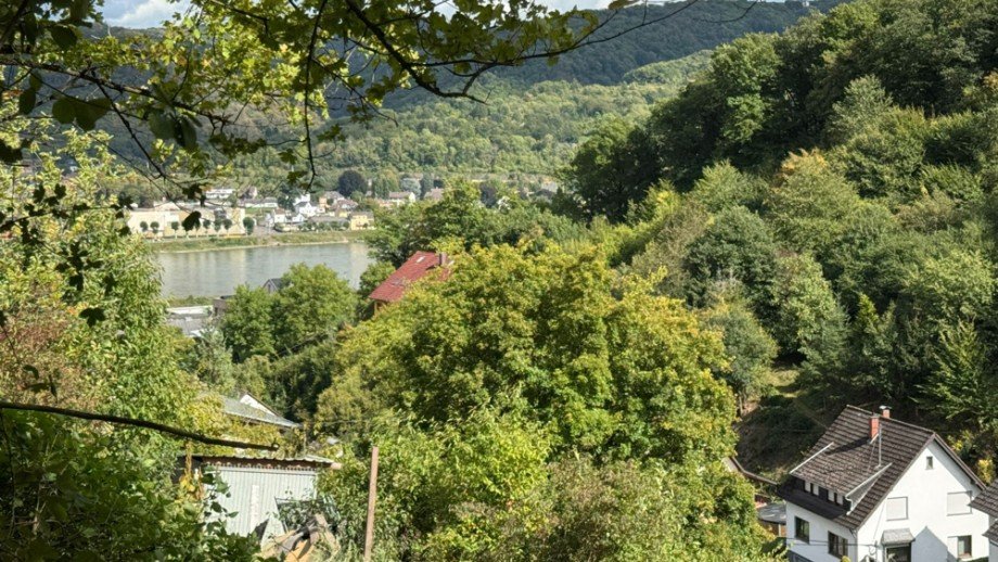 Grundst�ck Wohngrundst�ck Brohl-L�tzing