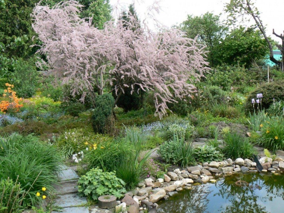 Garten mit Teich Doppelhaush�lfte Oberhausen